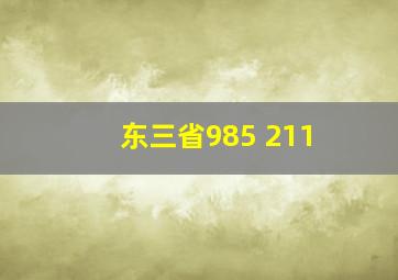 东三省985 211